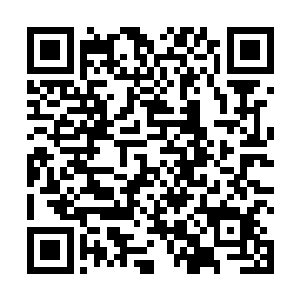经常穿着满是口袋的工作服在学校里上上下下地忙碌着二维码生成