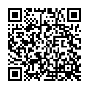经开区这些明显是要以吸引外资和发展经济为目标的机构部门二维码生成