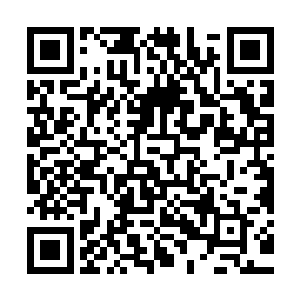 经杨晨加工之后的文章字数从原来的九千多字骤增到了两万余字二维码生成