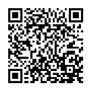 经济大案这种类型的抽点费用做办案经费都是不成文的规矩了二维码生成