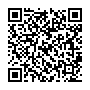 经济诈骗案的侦破管辖已经由检察院移交公安局了二维码生成