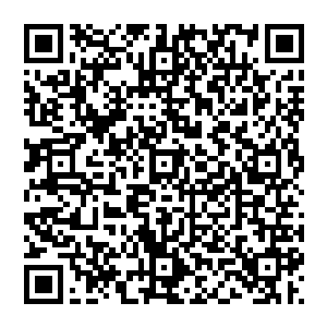 经略使大人甚至连任意一面主城墙能够承受多少架北莽投石车的集中轰砸多少北莽士卒蚁附攻城等事宜细节二维码生成