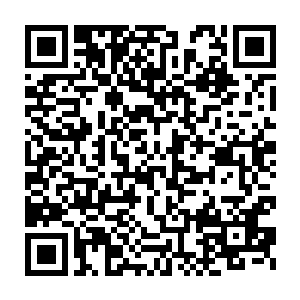 经纪人拿备用钥匙打开闵谌家门的时候看见的是与往常无异的客厅二维码生成