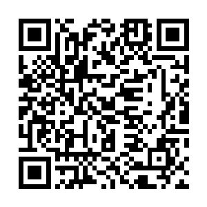经纪公司和一条强大的院线的综合性的大型娱乐传媒公司二维码生成
