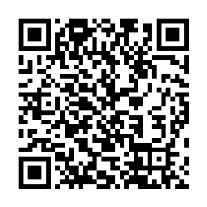 经过一晚的时间有可能已经在小腿的血管里面凝结了起来二维码生成