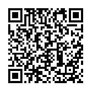 经过一段时间的特训和揠苗助长一般的强制实力提升之后二维码生成