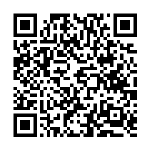 经过上次的损失之后她们现在已经不复超级势力的实力了二维码生成