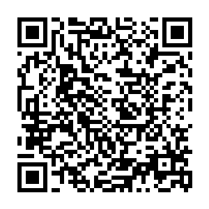 经过了戒指空间中这么长时间的修养之后小金也是恢复到了自己的巅峰状态二维码生成