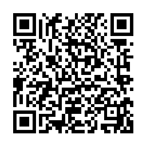 经过了这一次的时间我相信我们这几人之间是有着绝对的信任二维码生成