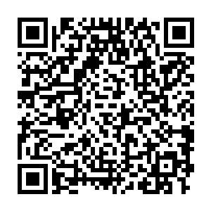 经过初代太古剑尊和历代太古剑尊以及各位半神至尊长时间的推演完善二维码生成