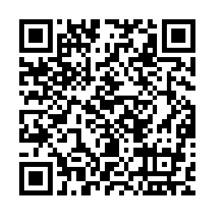 经过十几天的努力把总他们终于找到了樱花组杀手藏身的老巢二维码生成
