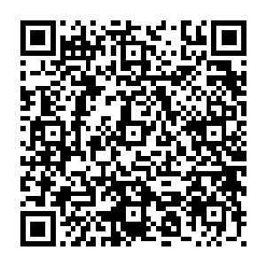 经过在混元秘境内数次实验结合灵药栽培知识耗时两个月终于培养出一种初级灵稻米二维码生成