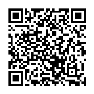 经过特殊手段强化的落地钢化玻璃竟犹如薄冰般碎了一地二维码生成