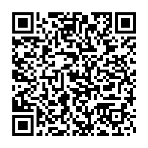 结合自外域分身因红云亚圣引发新一轮攻击准备而受樊川天仙征召二维码生成