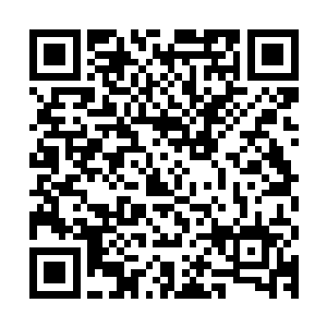 结束了前面五轮的秦宇和夏天兄弟两人便是可以先行离开这里了二维码生成