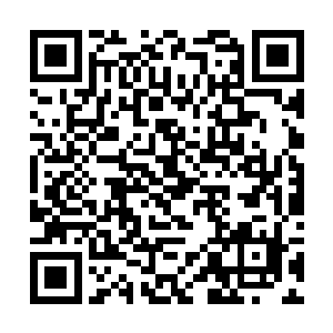 结果……我的意志力全都是为了抵抗你的脚臭了……二维码生成