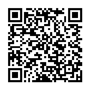 结果……老爷子赏了他们每人一百板子扬长而去……二维码生成