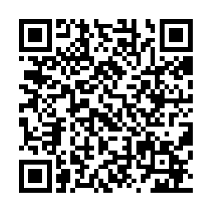 结果下一句你就来了句什么恐怕殿下是不会采纳我的建议的二维码生成