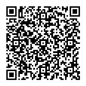 结果不由自主地就摆出了一张便秘脸……这样下去会被秒杀的吧……对手八成已经盯上我了吧二维码生成