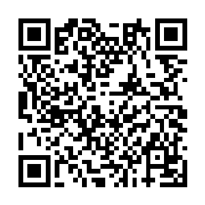 结果半路就碰到了被背后灵缠着的司机撞死了魏燕二维码生成