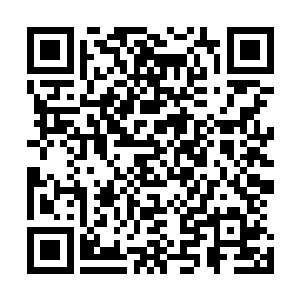 结果因为之前和深海鬼族鬼仙门大战一场把他们逼入了森林二维码生成