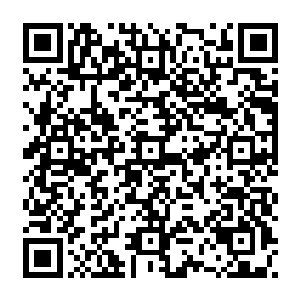 结果少主竟然硬生生的用钱砸出来一个电视收视率突破百分之五的超级选秀节目来二维码生成