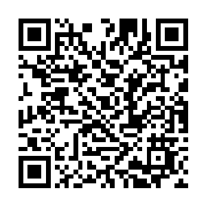 结果正是一个他口中什么也不行的小白脸把他给赢了二维码生成