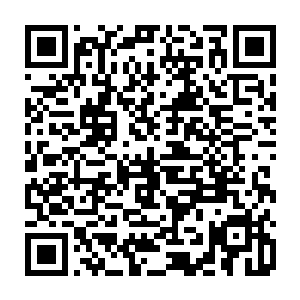 结果现在血红大大一下甩了三十张月票的距离了……大家要不要在来点月票呢二维码生成