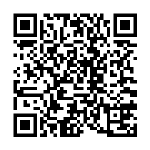 结果还是老样子毫无动静不说还完全隔绝了他的探知二维码生成