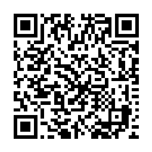 结果这样大的代价换回的是这么多具连尸体都不如的行尸走肉二维码生成