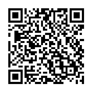 结果这次帮主不过是出门找些丹药来治疗受创的帮主二维码生成