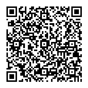 结果那位也公开表明自己有兴趣参加这次荒岛求生真人秀的电视明星的票数几乎是纯粹的真正投出来二维码生成
