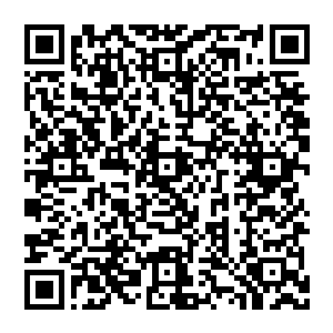 结界一出 风清扬顿时收起了笑容 转而化作一抹浩阳也无法融化的冰冷 这一瞬 天地中的温度都在疯狂下降二维码生成