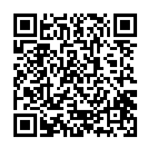 绕到了谷仓的时候贝海看看自己家的羊和猪挺满意了二维码生成