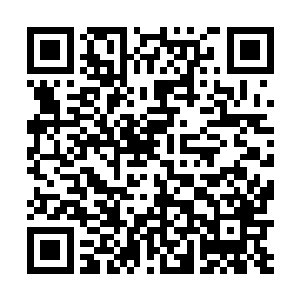 给了忠顺亲王一份……太妃娘娘的寿辰可是不远了……二维码生成