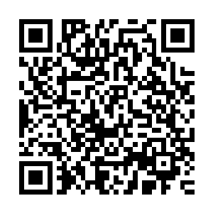 给人一种极富力量感的视觉冲击……清晨的微风轻轻的拂过窗前二维码生成