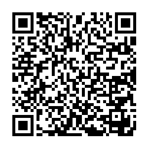 给人的感觉完全是林封谨抓住的那玩意儿根本就不是什么铁甲神兽的内心二维码生成