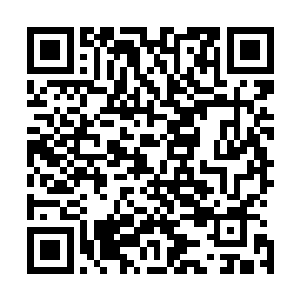 给他在市作协负责中学生文学大赛审稿的朋友发了一条短信二维码生成