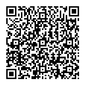 给他重要的战术地位……你们就这么相信一个连一年都没有踢满的菜鸟能够带给你们冠军荣誉吗二维码生成