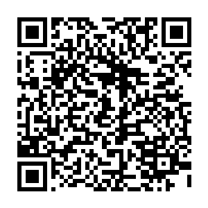 给你个机会 若是你配合得好 我便放了你 而且……还能给你一个造化 二维码生成