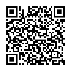 给你神品神丹疗伤提升实力的事一定要注意保密二维码生成