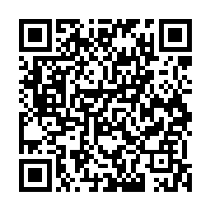 给我追……把所有拿枪的人全都杀了……如果你不杀他们二维码生成