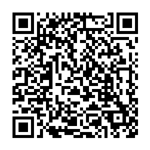 给林梦寒下药的那个浪货回头看了看跟来的十多个盯着林梦寒的丰臀二维码生成