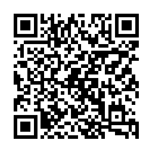 给每一位飞升修士都留下数十颗原石与大面积的仙石和灵石二维码生成