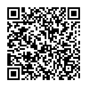 给突然爆发的枪战爆炸吓得真有点发抖的巴克开始慢吞吞的爬离刚才的地方二维码生成