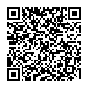 给翡翠国的八十万大军提供了一千多架投石机和三千多架弩阵以及上千万支箭矢二维码生成