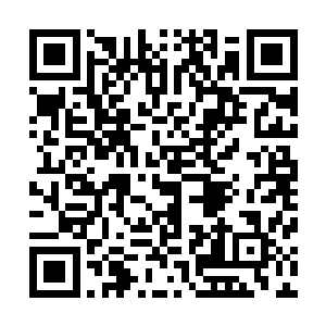 络腮胡子仿佛完全没有听到那几位下属发出的痛苦的惨叫声二维码生成