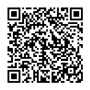 绝不会让一把手或是二把手一家独大・也不想看到一把手和二把手亲密无间二维码生成