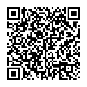 绝不会让任何一个男人相信在结了婚后这样的女人会是一个贤妻良母二维码生成