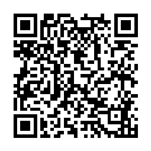 绝倾殇狡黠的眼光不怀好意的在水枫染的脸上游走二维码生成